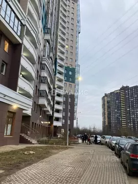 Студия Санкт-Петербург Усть-Славянка тер., ул. Заводская, 15 (25.0 м)