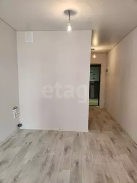 Студия Воронежская область, Воронеж ул. Независимости, 78Бк2 (21.7 м)