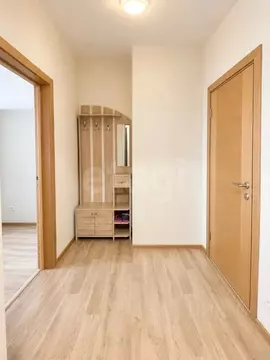 Студия Санкт-Петербург дор. Муринская, 16к2 (28.5 м)