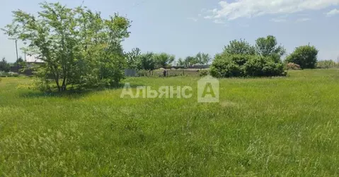 Участок в Ростовская область, Каменский район, Красновское с/пос, ...