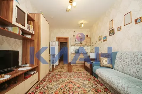 Студия Красноярский край, Красноярск ул. Карамзина, 14 (24.1 м)