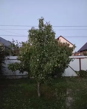 Участок в Калининградская область, Калининград Колосок СНТ, ул. ...