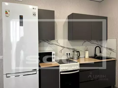 Студия Ленинградская область, Всеволожский район, Заневское городское ...