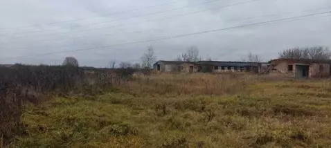 Участок в Московская область, Коломна городской округ, с. Макшеево  ...