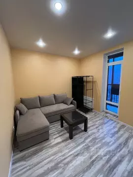 Студия Санкт-Петербург ул. Вадима Шефнера, 4 (28.0 м)