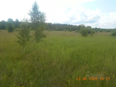 Участок в Московская область, Шаховская муниципальный округ, с. ...