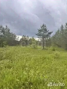 Участок в Кировская область, Кирово-Чепецкий район, Пасеговское с/пос, ...