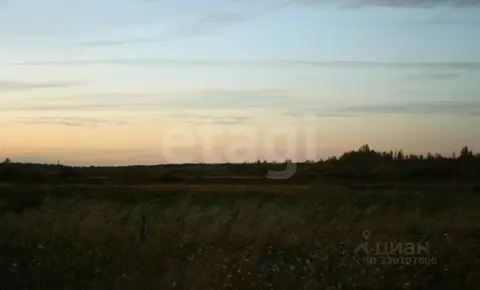 Участок в Тюменская область, Тюмень Рябинка-2 садовое товарищество,  ...