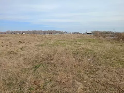 Участок в Челябинская область, Сосновский район, Долгодеревенское ...