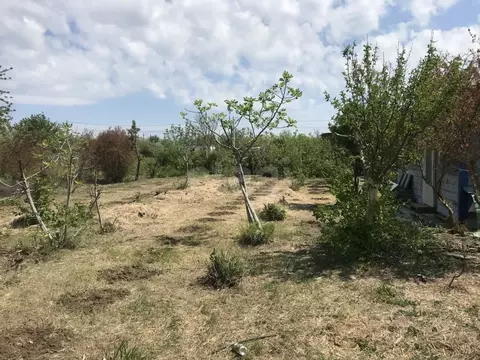 Участок в Крым, Ленинский район, Щелкино городское поселение, Фиал СПК ...