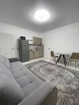 Студия Санкт-Петербург пос. Стрельна, просп. Буденного, 20к5 (26.0 м)