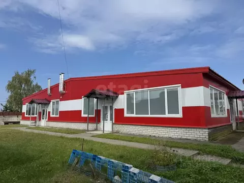 Склад в Брянская область, Брянск ул. Абашева, 19 (12000 м)