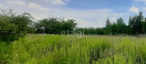 Участок в Брянская область, Брянский район, Мичуринское с/пос, Заря ...