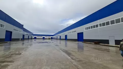 Производственное помещение в Татарстан, Набережные Челны ул. ...