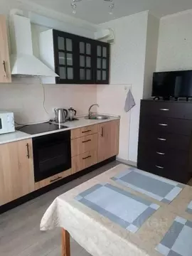 1-к кв. Санкт-Петербург пос. Парголово, ул. Михаила Дудина, 25к1 (42.3 ...