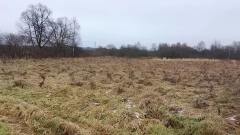 Участок в Московская область, Можайский муниципальный округ, д. ...