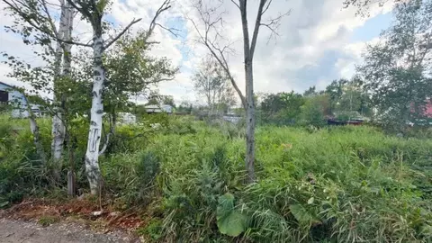 Участок в Сахалинская область, Южно-Сахалинск Коммунальник СНТ, ул. ...