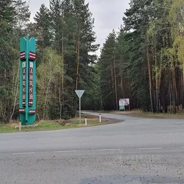 Участок в Курганская область, Кетовский муниципальный округ, с. ...