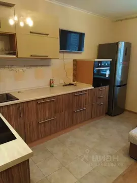 1-к кв. Московская область, Домодедово Южный мкр, ул. Курыжова, 16 ...