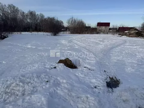 Участок в Алтайский край, Барнаул городской округ, пос. Бельмесево ул. ...