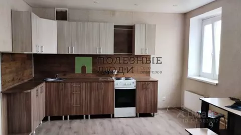 Студия Курганская область, Курган ул. Чкалова, 3 (32.0 м)