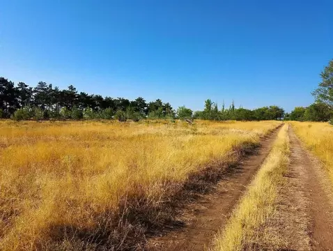 Участок в Крым, Кировский район, с. Абрикосовка ул. Сосновая (6.0 ...