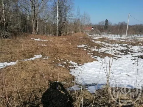 Участок в Ленинградская область, Лужский район, Ретюнское с/пос, д. ...