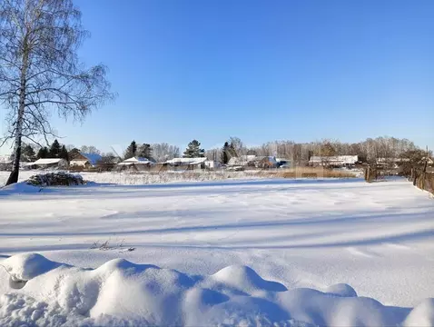 Участок в Новосибирская область, Новосибирский район, Боровской ...
