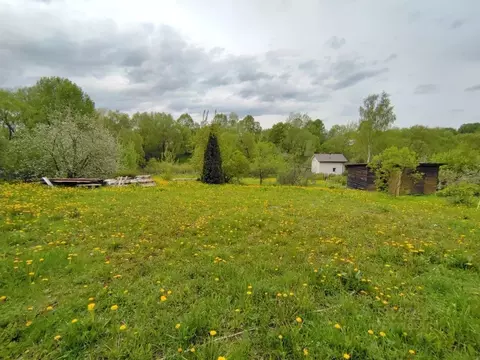 Участок в Московская область, Чехов муниципальный округ, д. Голыгино  ...