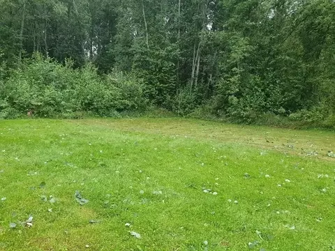 Участок в Ленинградская область, Приозерский район, Красноозерное ...