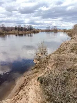 Участок в Ярославская область, Ярославский муниципальный округ, ...