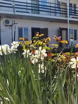 Комната Крым, Феодосия ул. Гарнаева, 7