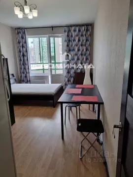 Студия Ленинградская область, Мурино Всеволожский район, бул. ...