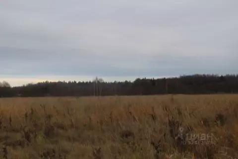 Участок в Московская область, Шаховская муниципальный округ, с. Белая ...