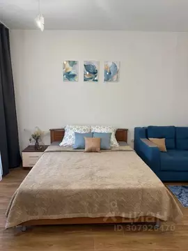 Студия Иркутская область, Иркутск Ямская ул., 1/3 (40.0 м)