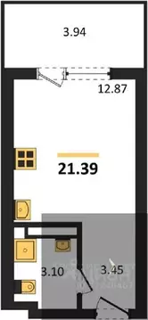 Студия Воронежская область, Воронеж Транспортная ул., 58 (21.39 м)