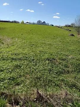 Участок в Владимирская область, Александровский муниципальный округ, ...