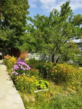 Дом в Ставропольский край, Кисловодск городской округ, пос. ...