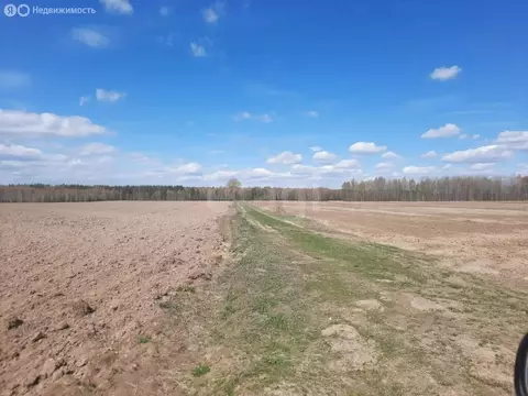 Участок в Нижегородская область, Городецкий муниципальный округ, ...