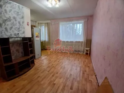 Студия Владимирская область, Карабаново г. Александровский ...