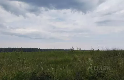 Участок в Московская область, Дмитровский муниципальный округ, д. ...