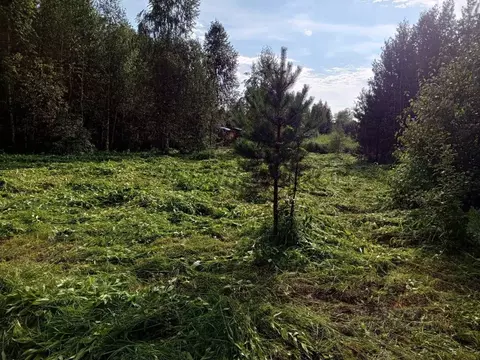 Участок в Алтай, Майминский район, Соузгинское с/пос, пос. Турбаза ...