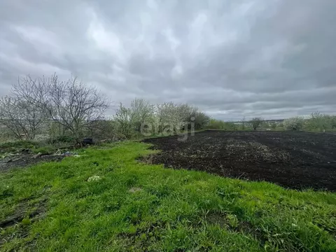 Участок в Белгородская область, Белгородский район, с. Стрелецкое ...
