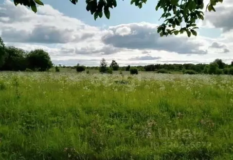 Участок в Костромская область, Чухломский район, Повалихинское с/пос, ...