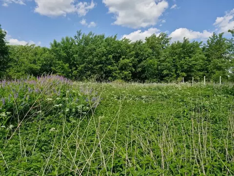 Участок в Московская область, Ступино городской округ, с. Березнецово  ...