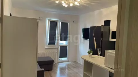 Студия Санкт-Петербург наб. Реки Каменки, 23 (20.8 м)