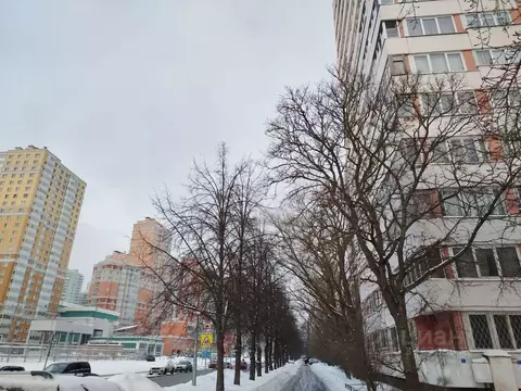 1-к кв. Санкт-Петербург ул. Руднева, 7К1 (38.0 м)