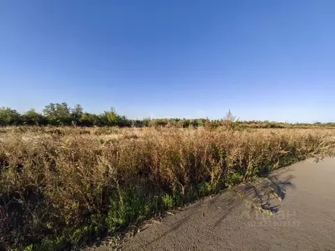 Участок в Ростовская область, Аксай ул. Дениса Давыдова (9.5 сот.)