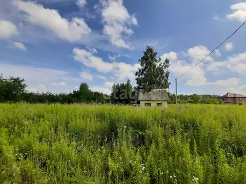 Участок в Брянская область, Брянский район, Мичуринское с/пос, Заря ...