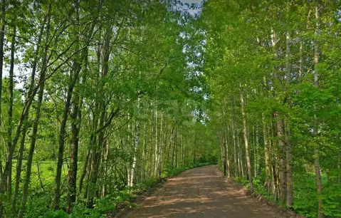 Участок в Ленинградская область, Выборгский район, Приморское ...